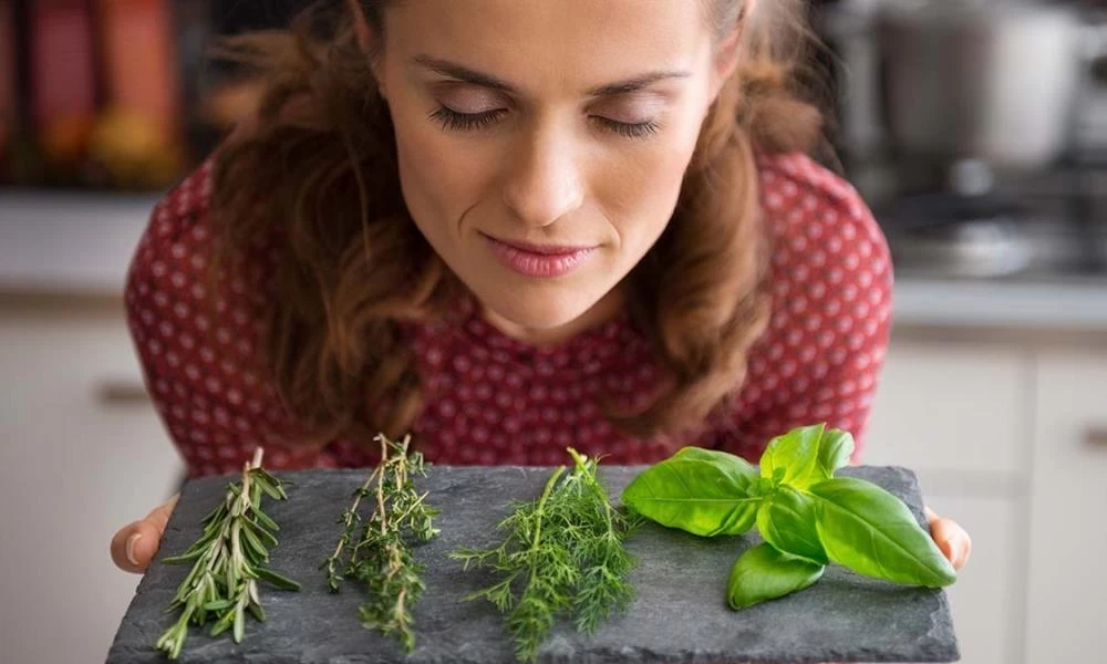 Το αντικαρκινικό αρωματικό βότανο που προστατεύει το ήπαρ